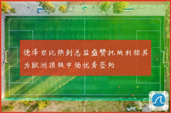 德泽尔比热刺总监盛赞托纳利称其为欧洲顶级中场优秀签约